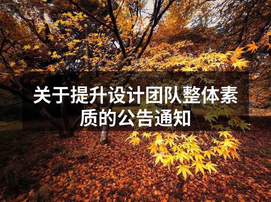 设计团队培训活动现场